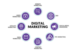 Digital Marketing Training Courses With Live Mentors And Master Resell Rights For Full Price