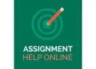 Professional Essay Writing and Online Class Completion Service