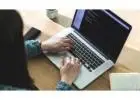 Website Design Company Chicago