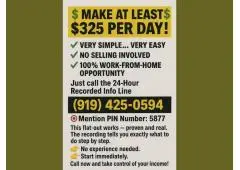 MAKE AT LEAST $325 PER DAY!