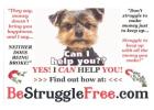 Say goodbye to 9-5. Learn how to earn $900 daily with just two hours of fun work!