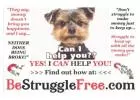 Say goodbye to 9-5. Learn how to earn $900 daily with just two hours of fun work!