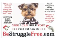How would you like to retire early! Don't miss out on this amazing opportunity!