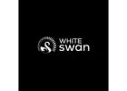 Timer Gas Stove in india - whiteswan